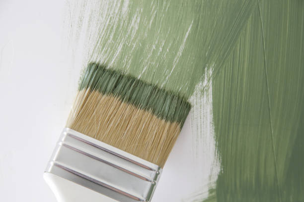 Reliable Cohasset, MN Mold Removal Solutions
