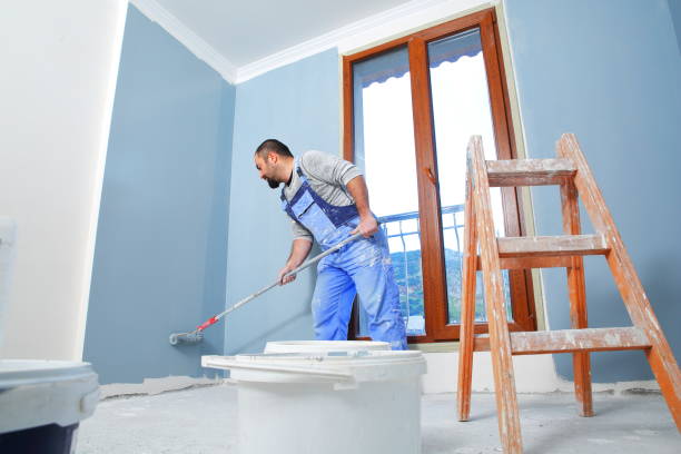 Best Mold Documentation for Insurance Claims  in Cohasset, MN