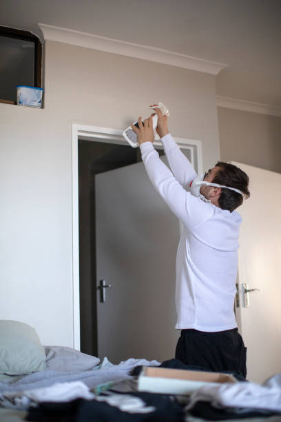 Best Mold Remediation for Healthcare Facilities  in Cohasset, MN