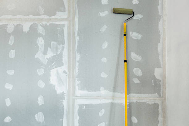 Best Mold-Related Health Consultation  in Cohasset, MN