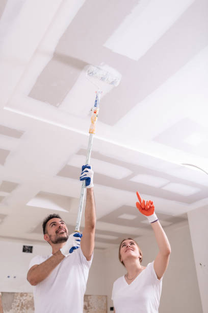 Best Comprehensive Air Testing for Mold Contaminants  in Cohasset, MN