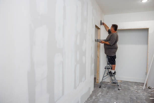 Best Water Damage & Mold Remediation  in Cohasset, MN
