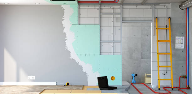 Best Emergency Mold Remediation  in Cohasset, MN