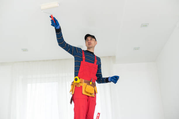 Best Residential Mold Inspection & Testing  in Cohasset, MN