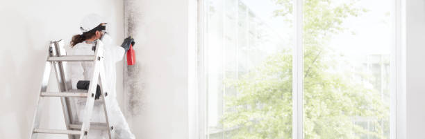 Best Indoor Air Quality Assessment  in Cohasset, MN
