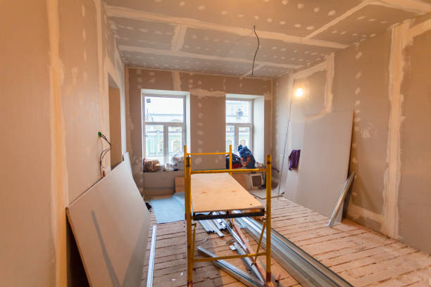 Best Mold Documentation for Insurance Claims  in Cohasset, MN