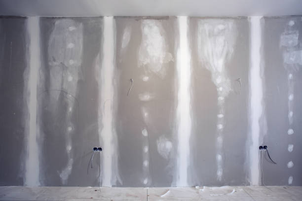 Best Mold Removal for HVAC Installations  in Cohasset, MN