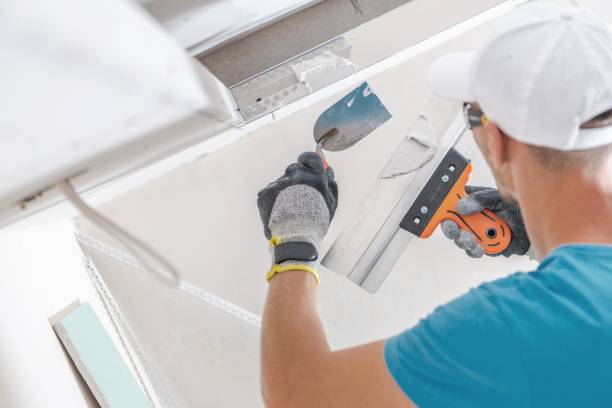 Mold Documentation for Insurance Claims in Cohasset, MN
